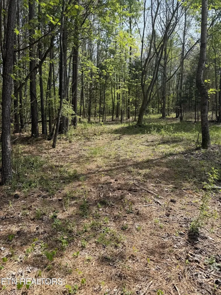7836 Dry Valley Road Loudon TN 37774