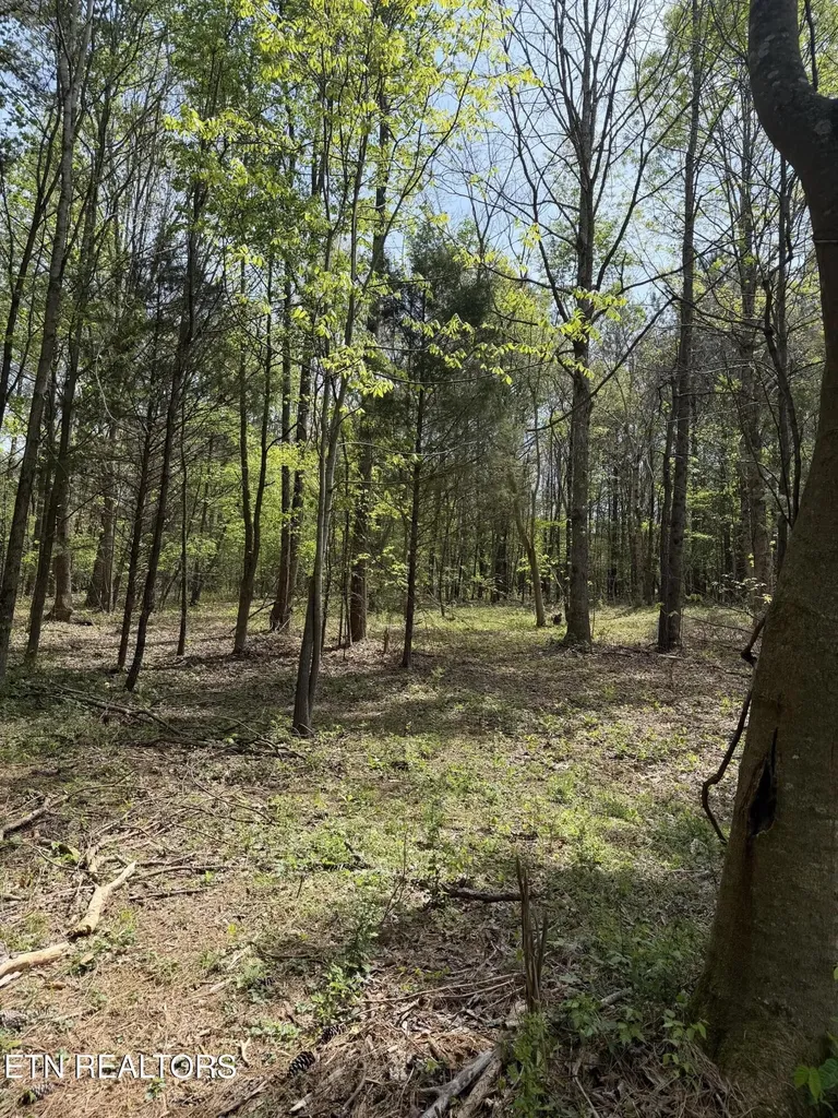7836 Dry Valley Road Loudon TN 37774