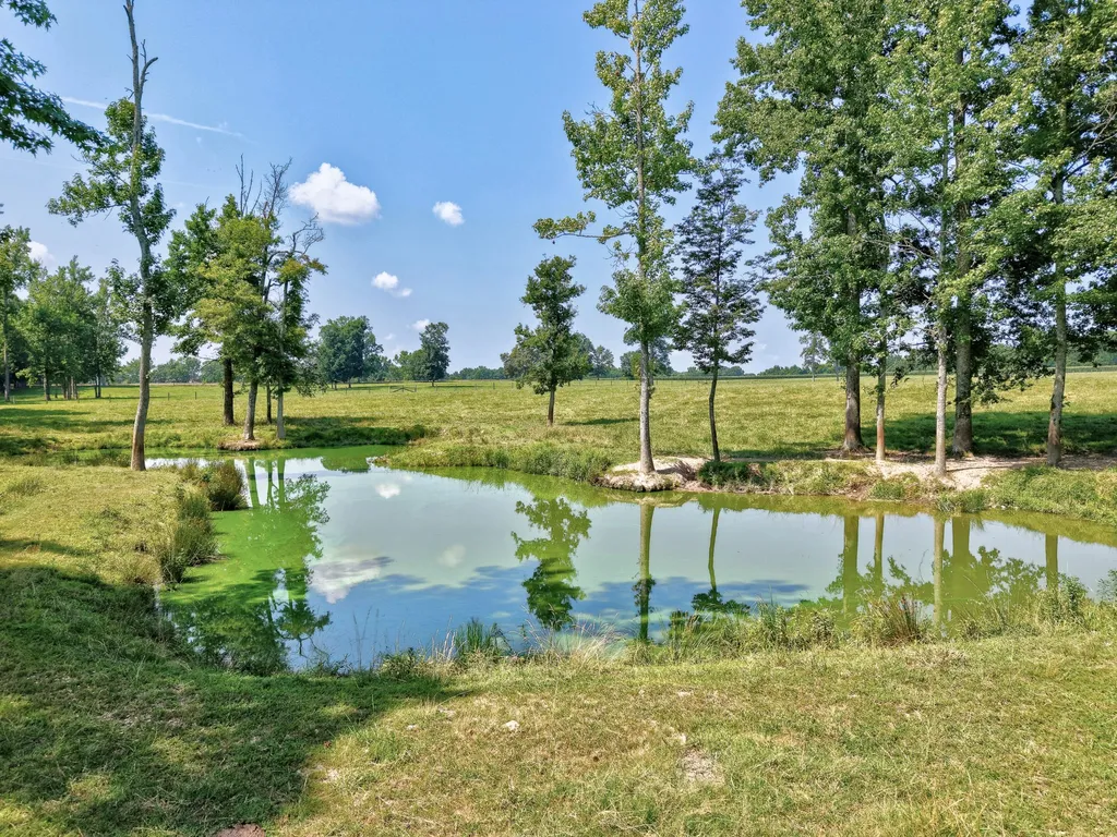 214 Camargo Road Fayetteville TN 37334