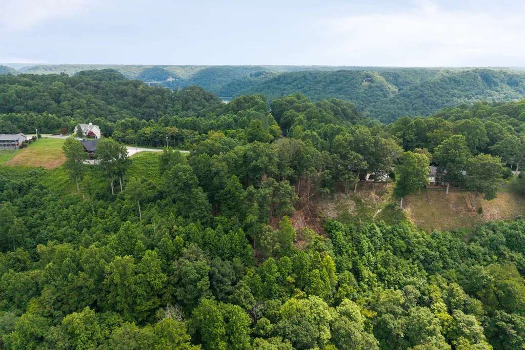 0 Opal Pt Drive Smithville TN 37166