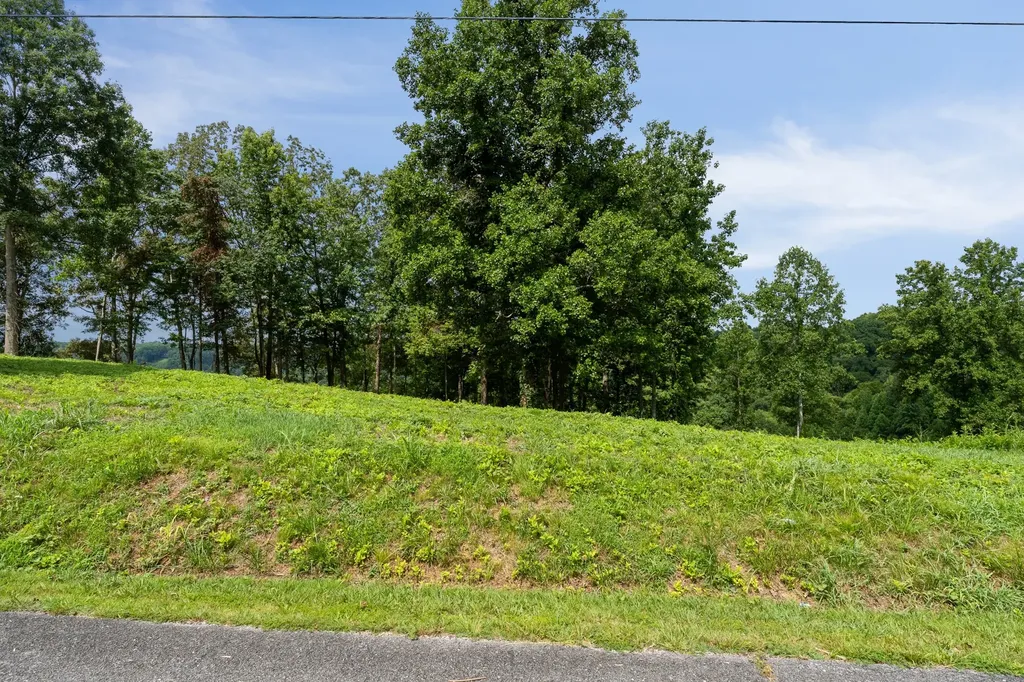 0 Opal Pt Drive Smithville TN 37166