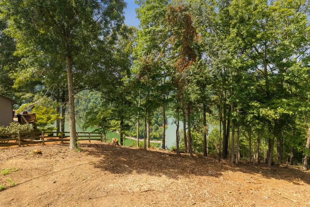 0 Opal Pt Drive Smithville TN 37166