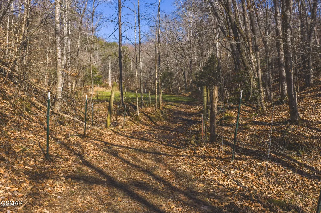 3381 Upper Caney Valley Road Tazewell TN 37879