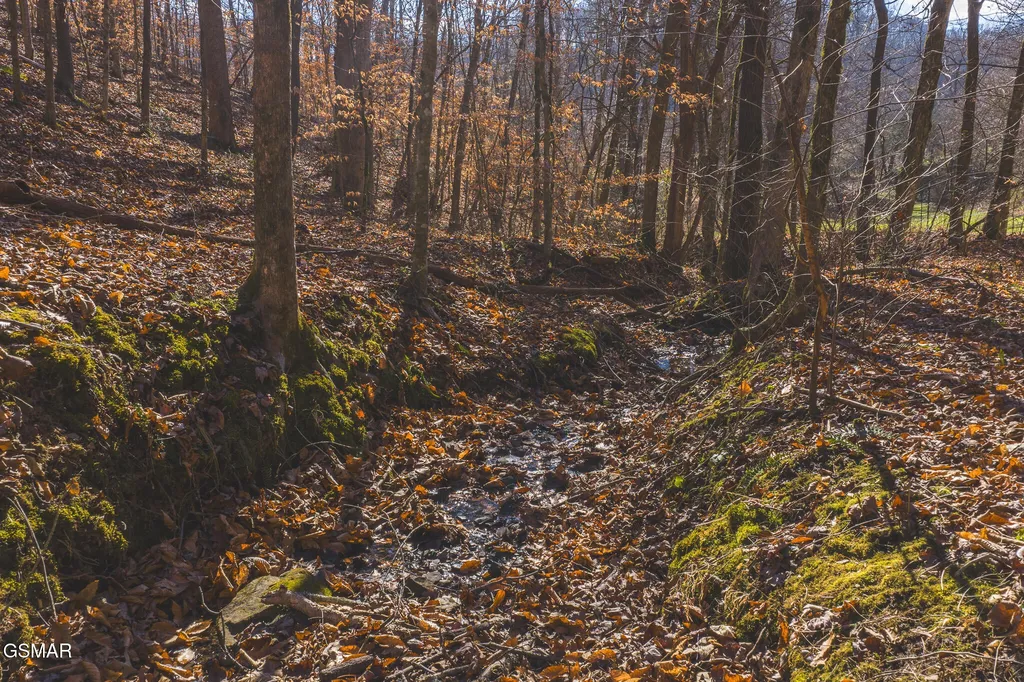 3381 Upper Caney Valley Road Tazewell TN 37879