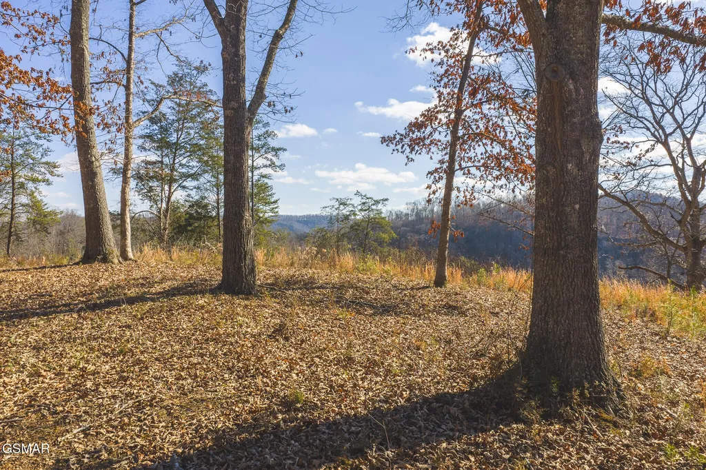 3381 Upper Caney Valley Road Tazewell TN 37879