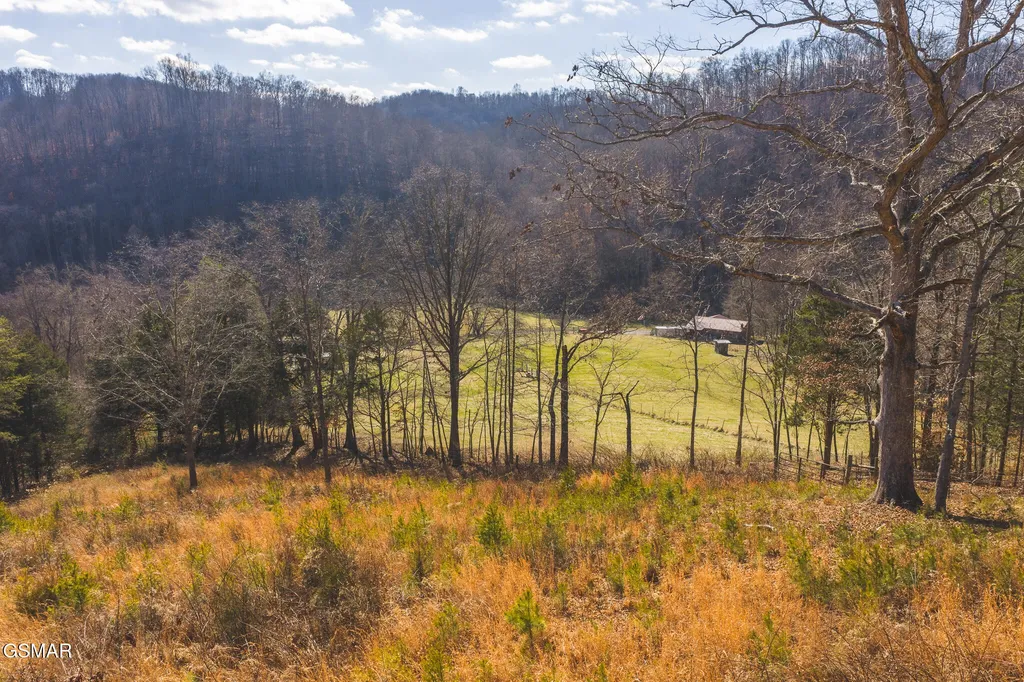 3381 Upper Caney Valley Road Tazewell TN 37879