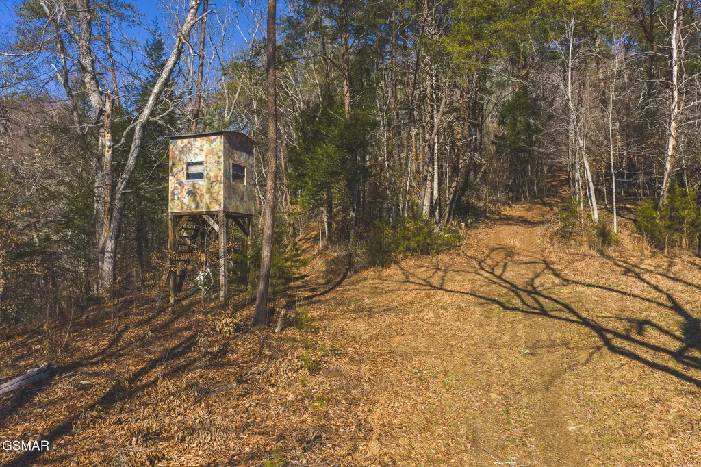 3381 Upper Caney Valley Road Tazewell TN 37879