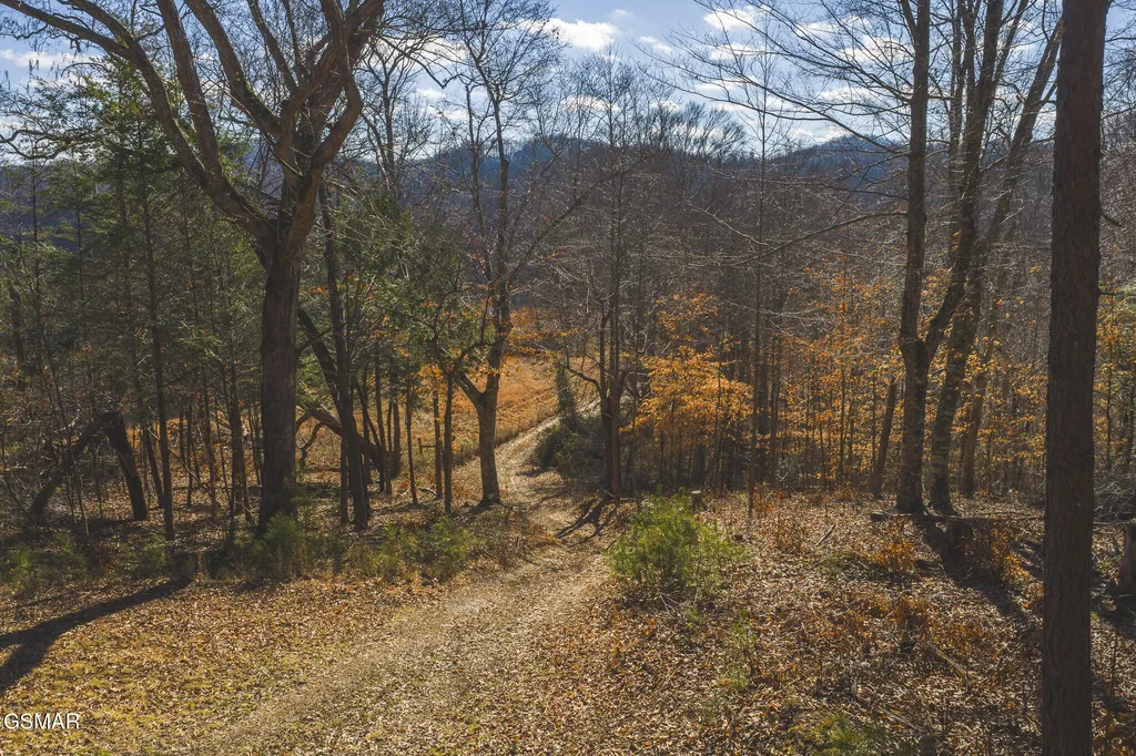 3381 Upper Caney Valley Road Tazewell TN 37879