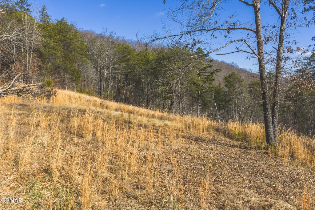3381 Upper Caney Valley Road Tazewell TN 37879