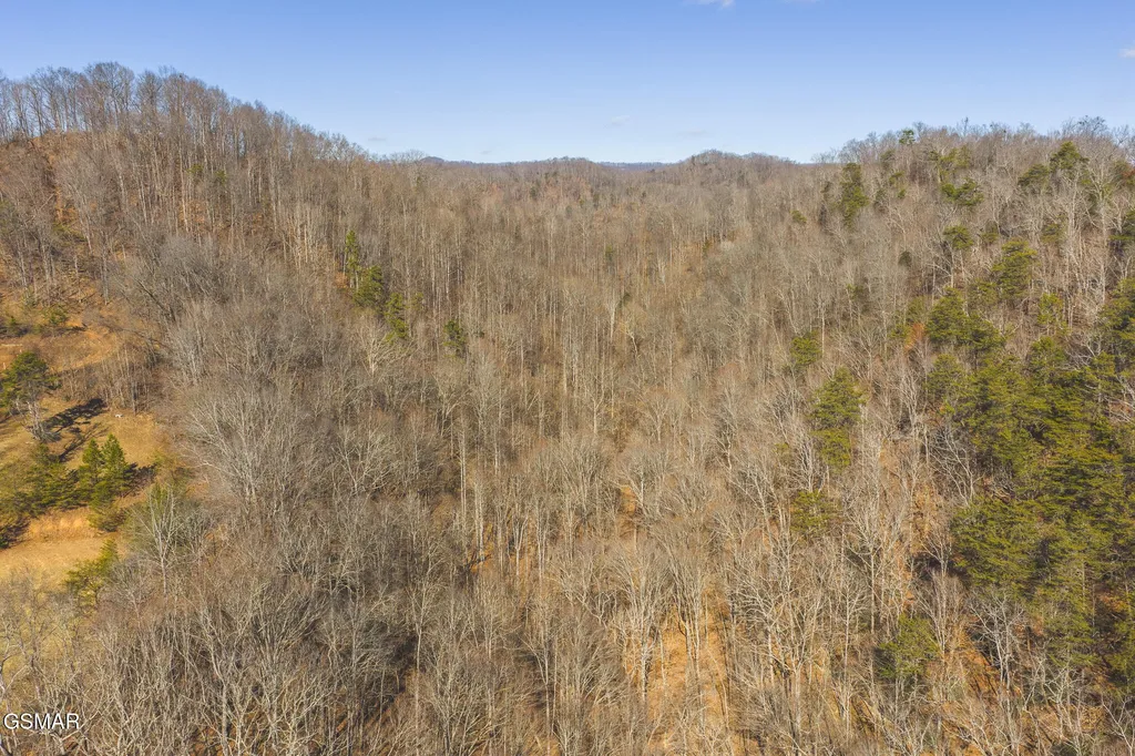 3381 Upper Caney Valley Road Tazewell TN 37879