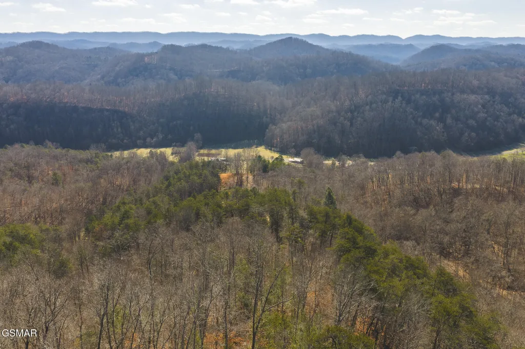 3381 Upper Caney Valley Road Tazewell TN 37879