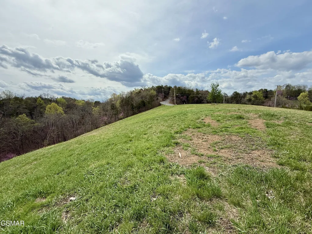 12 Ferry Hill Road Dandridge TN 37725
