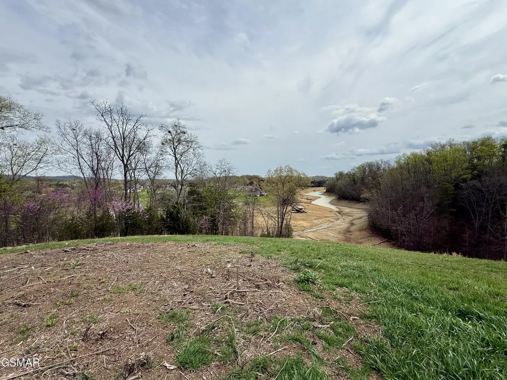 12 Ferry Hill Road Dandridge TN 37725