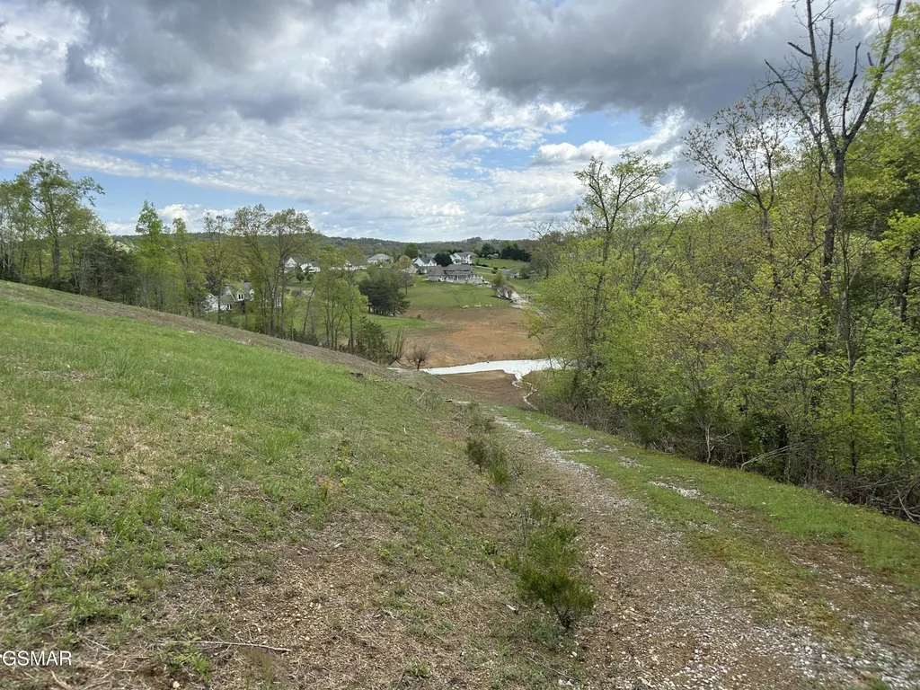 12 Ferry Hill Road Dandridge TN 37725