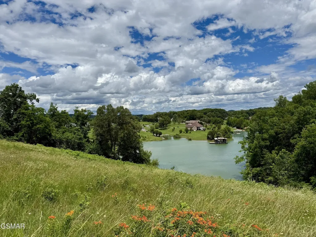 12 Ferry Hill Road Dandridge TN 37725