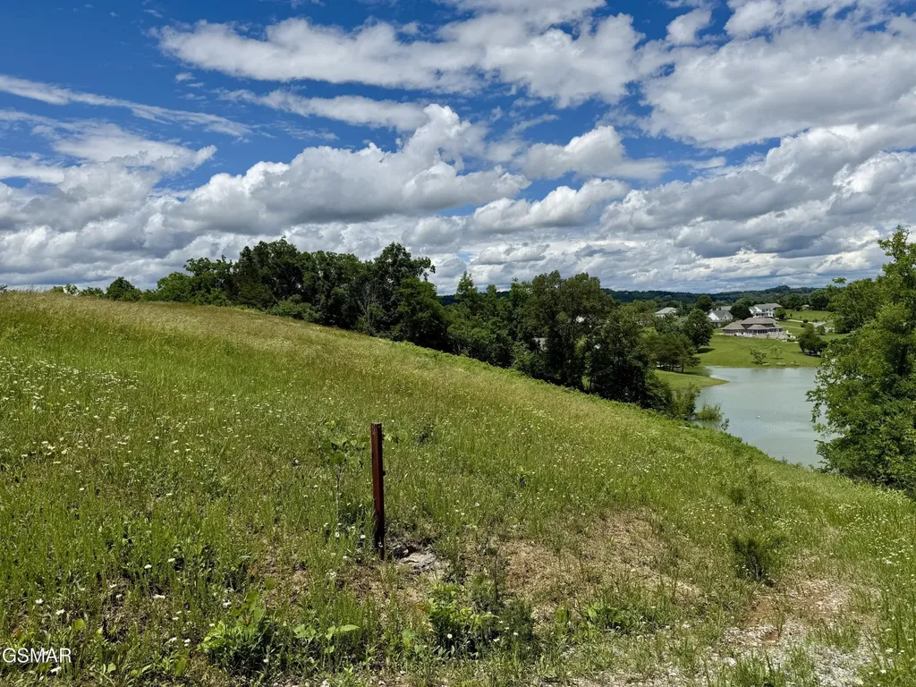 12 Ferry Hill Road Dandridge TN 37725