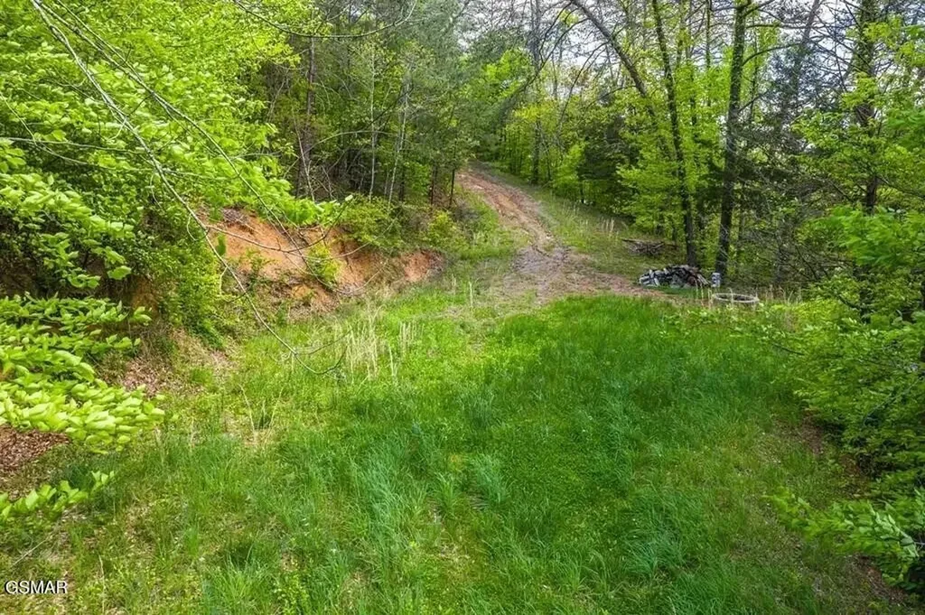 2 Caywood Road Dandridge TN 37725