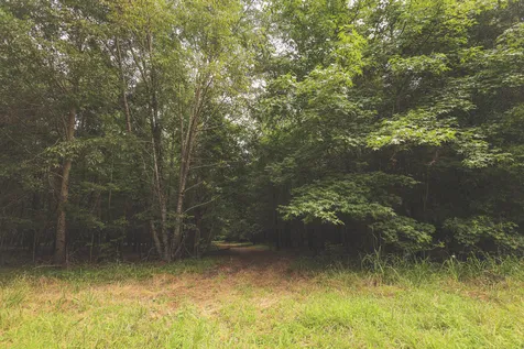 0 Isbell Lane Decherd TN 37324