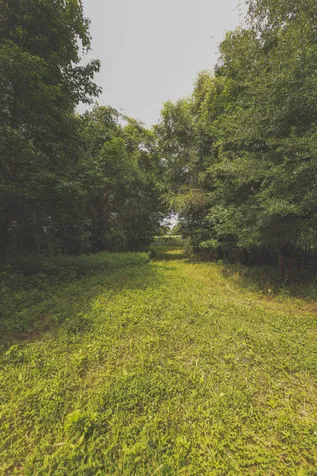 0 Isbell Lane Decherd TN 37324