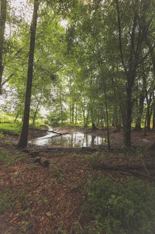 0 Isbell Lane Decherd TN 37324