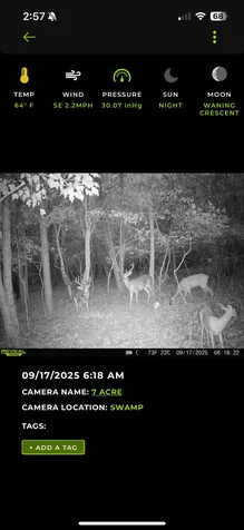 0 Isbell Lane Decherd TN 37324