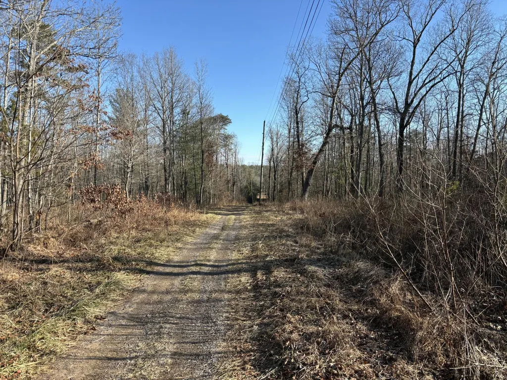 0 Ridgevale Lane Dayton TN 37321