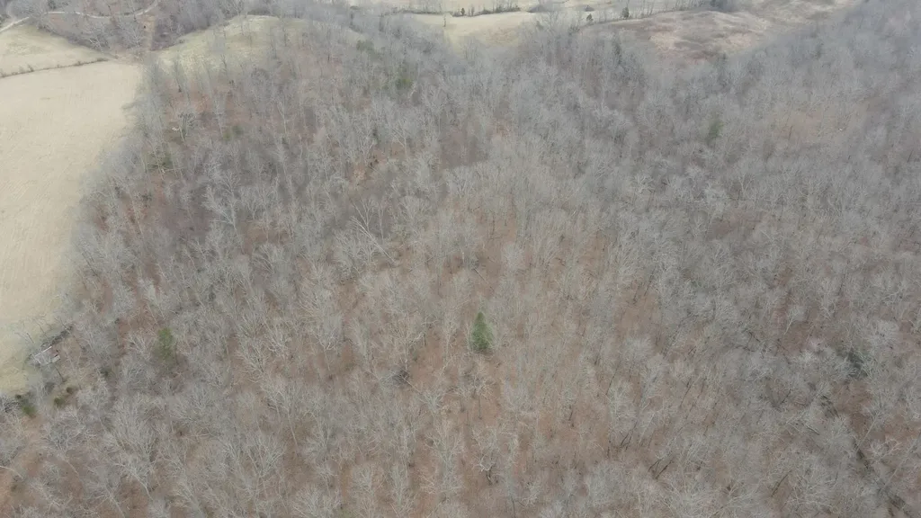 0 Clayton Angel Road Pikeville TN 37367
