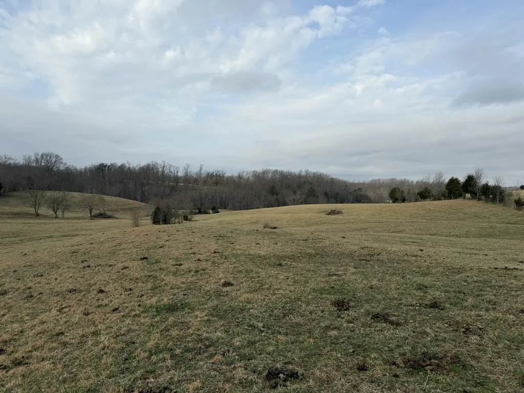 0 Clayton Angel Road Pikeville TN 37367