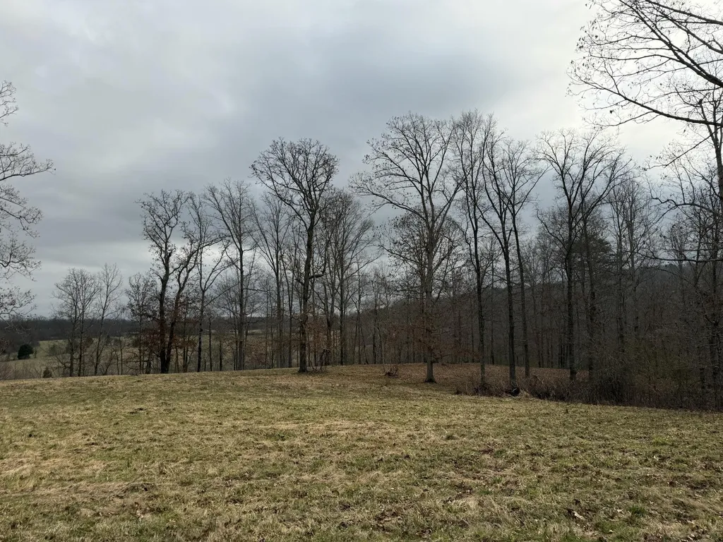 0 Clayton Angel Road Pikeville TN 37367