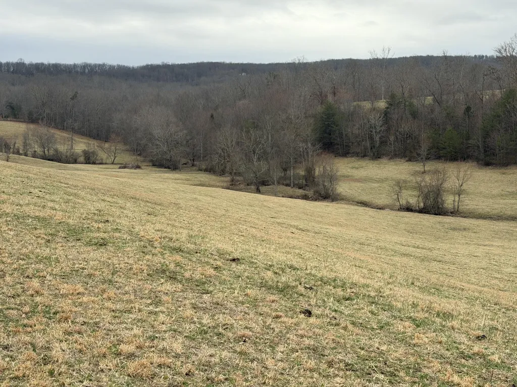 0 Clayton Angel Road Pikeville TN 37367