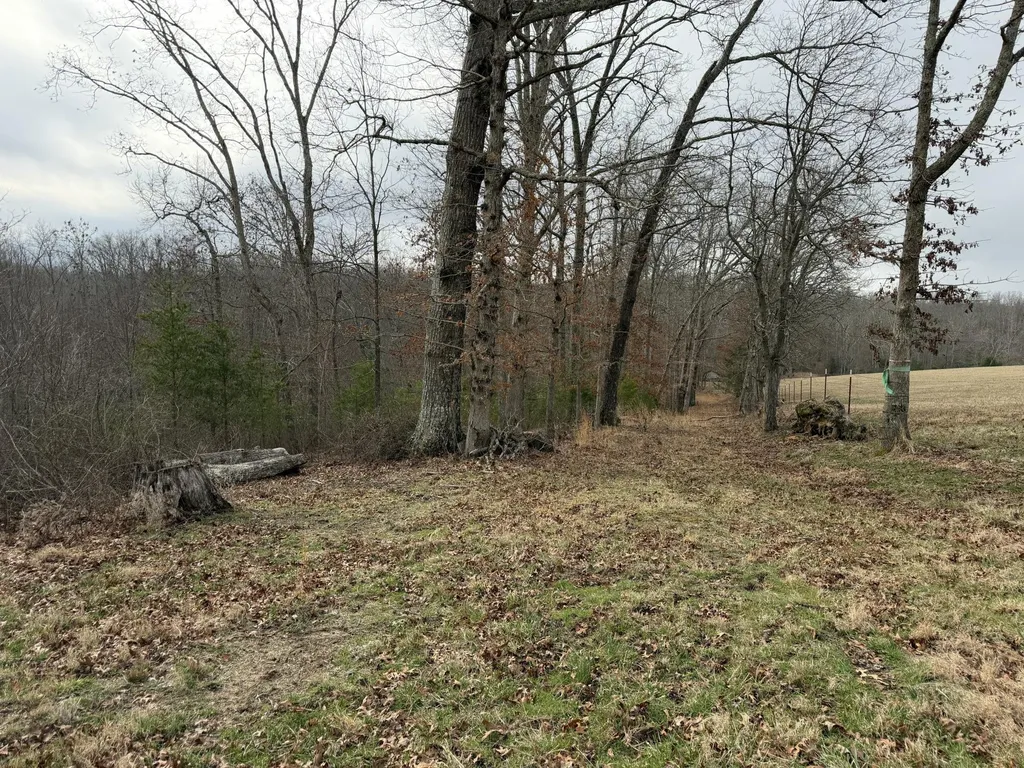 0 Clayton Angel Road Pikeville TN 37367