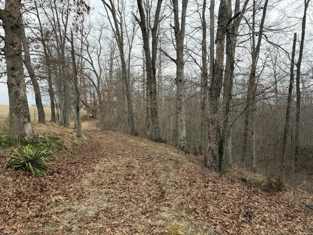 0 Clayton Angel Road Pikeville TN 37367