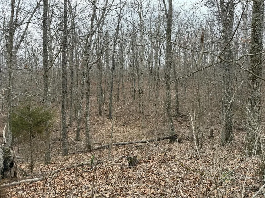 0 Clayton Angel Road Pikeville TN 37367