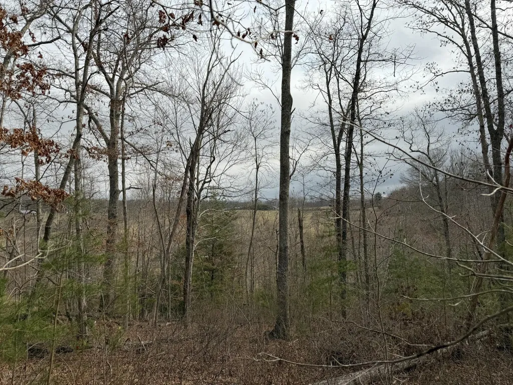 0 Clayton Angel Road Pikeville TN 37367