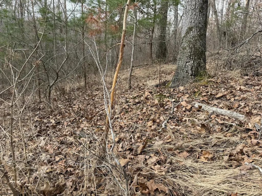 0 Clayton Angel Road Pikeville TN 37367