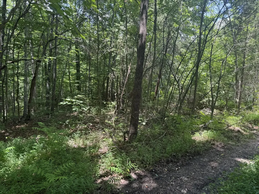 0 Wilder Highway Crawford TN 38554