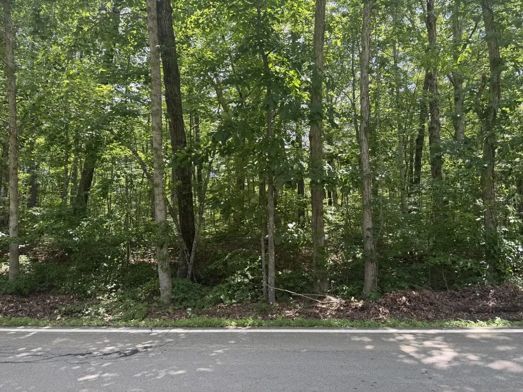 0 Wilder Highway Crawford TN 38554