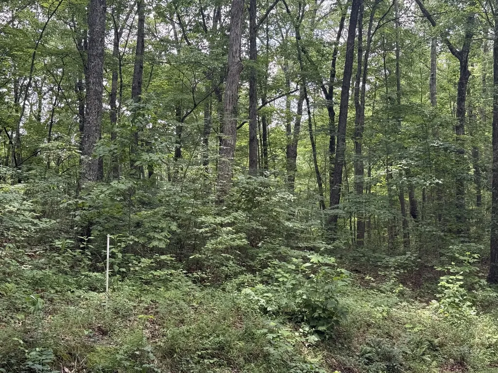 0 Wilder Highway Crawford TN 38554