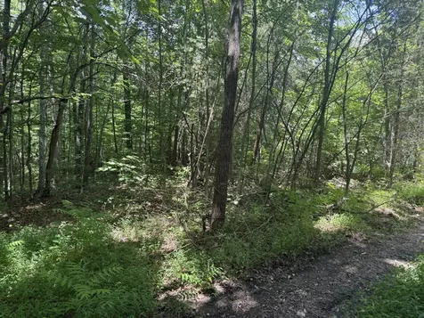0 Wilder Highway Crawford TN 38554