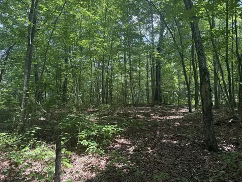 0 Wilder Highway Crawford TN 38554