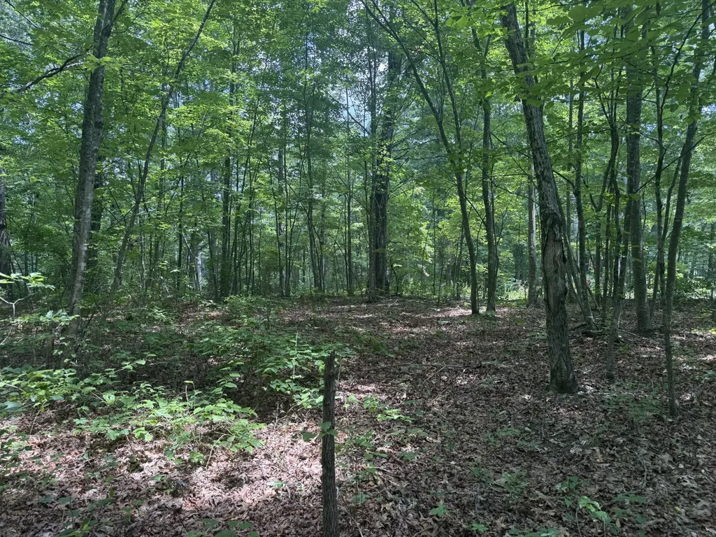0 Wilder Highway Wilder TN 38589