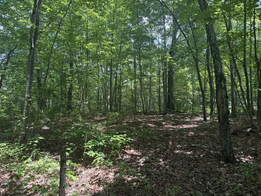 0 Wilder Highway Wilder TN 38589