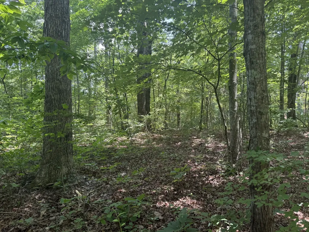 0 Wilder Highway Wilder TN 38589