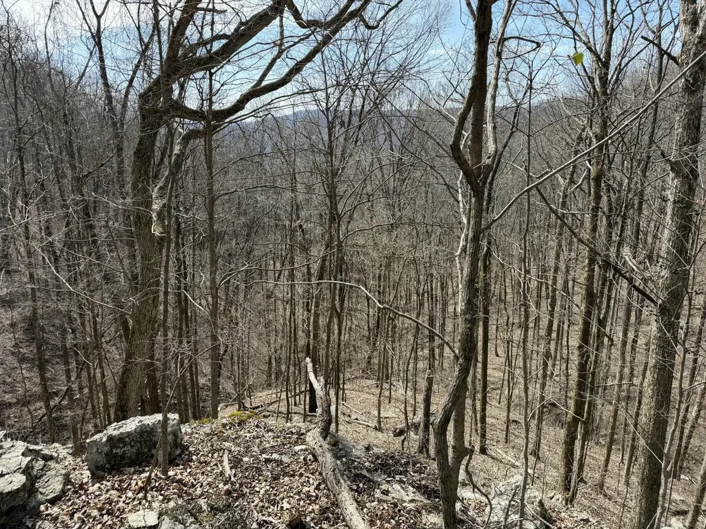 4872 Deer Run Road Altamont TN 37301