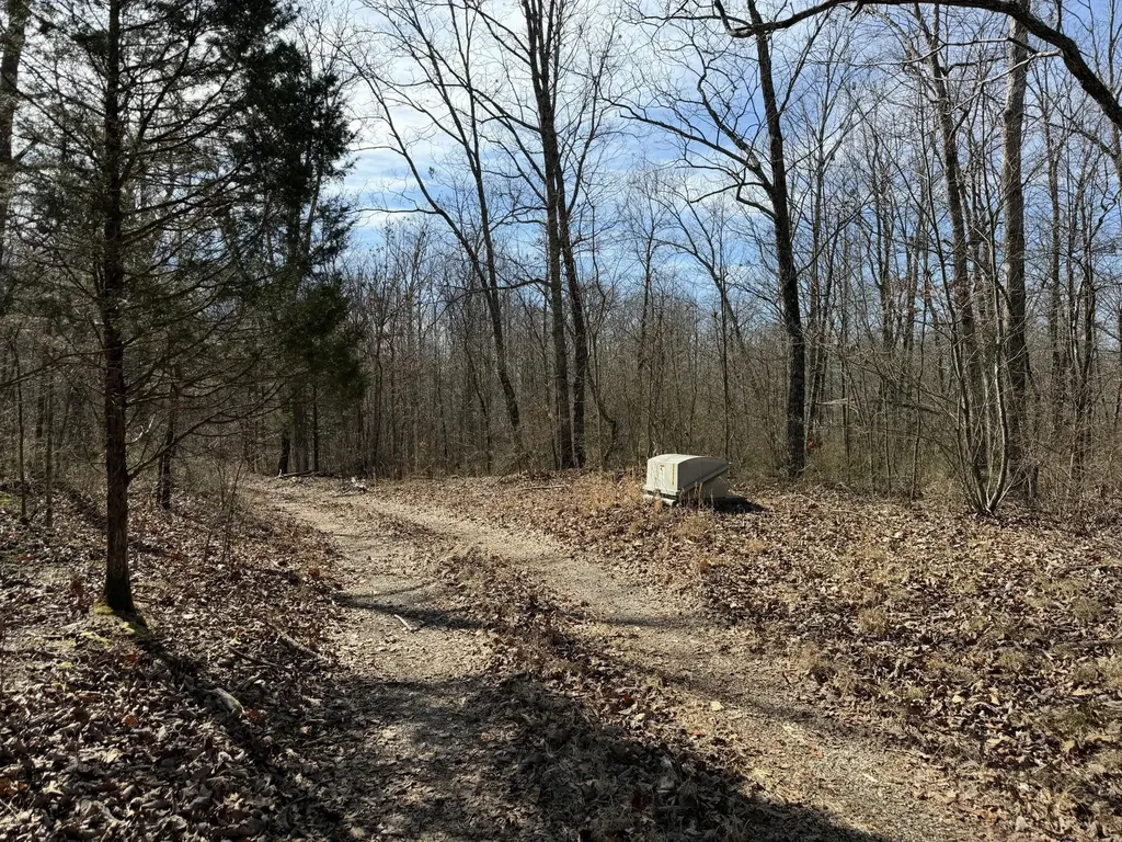 4872 Deer Run Road Altamont TN 37301
