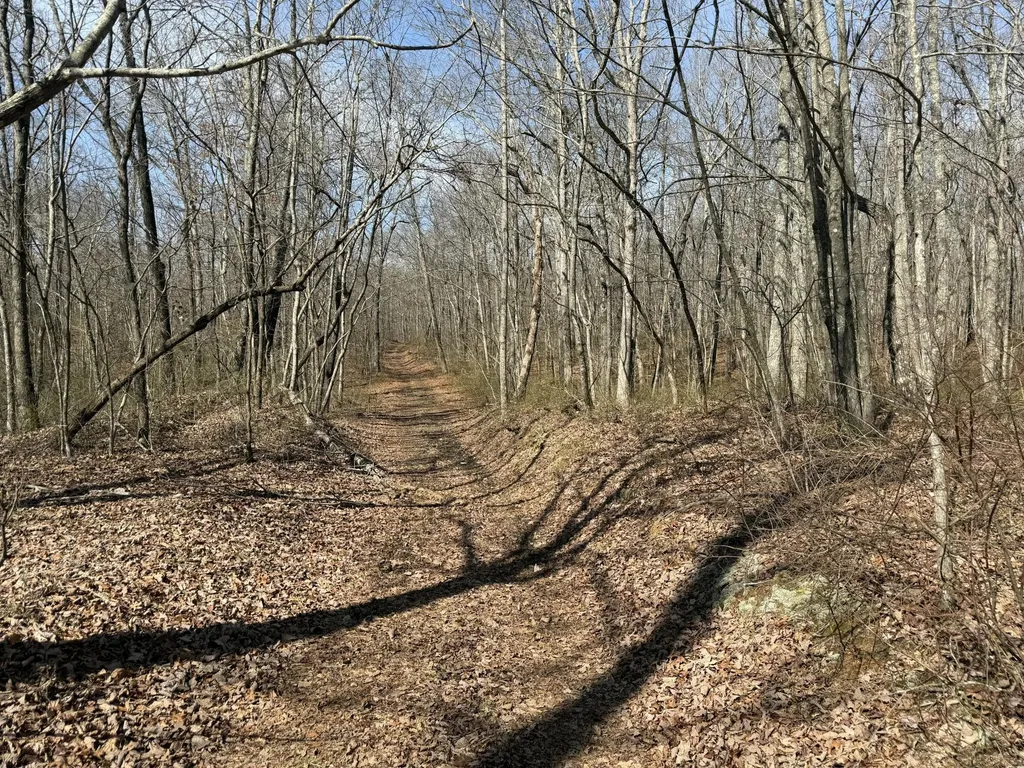 4872 Deer Run Road Altamont TN 37301