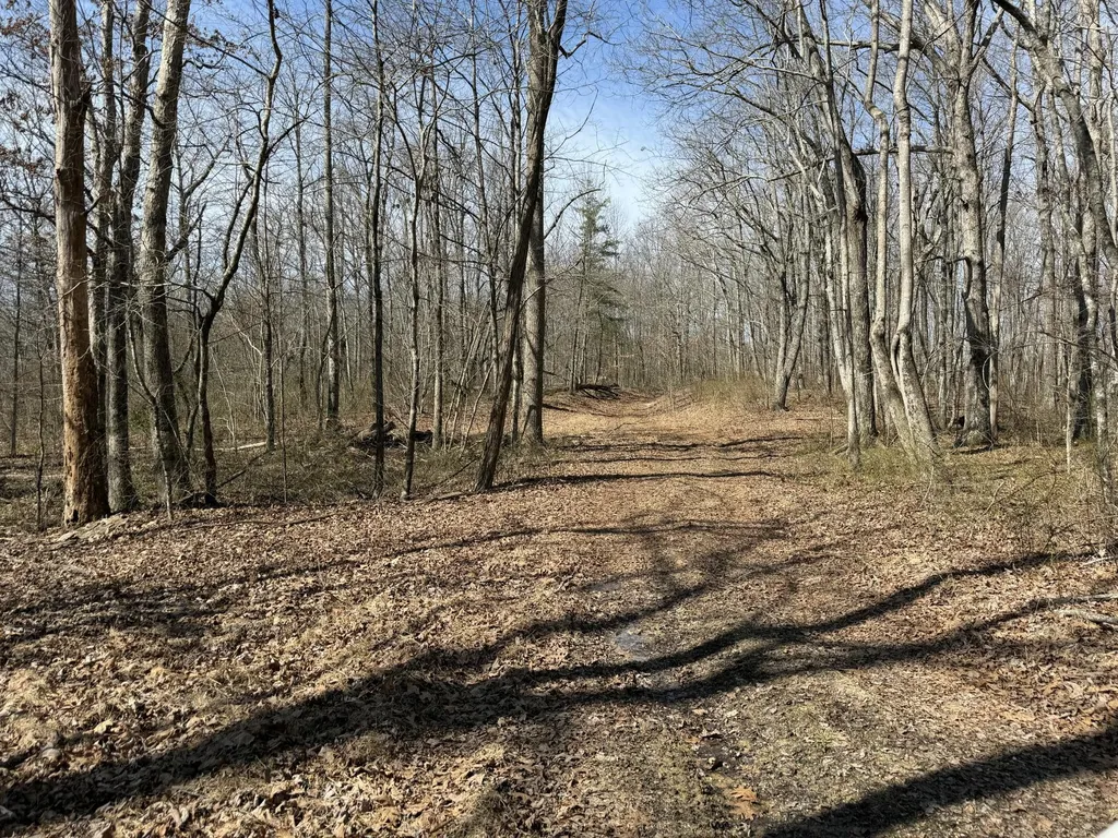 4872 Deer Run Road Altamont TN 37301