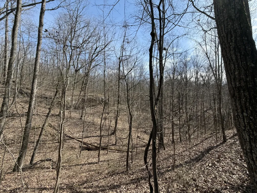 4872 Deer Run Road Altamont TN 37301