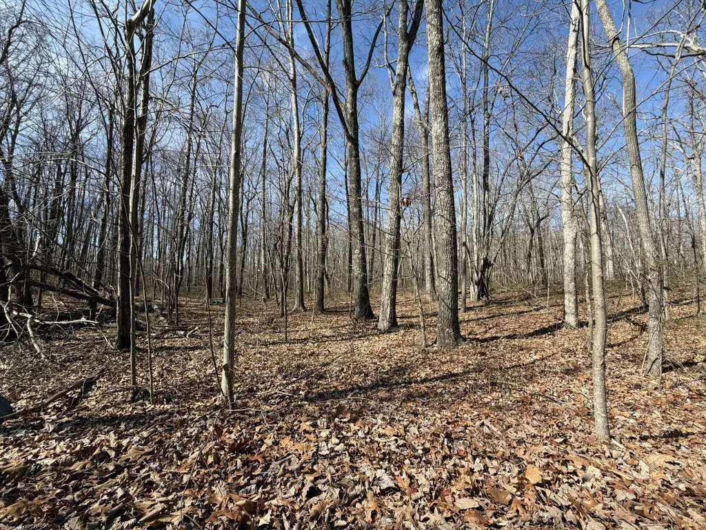 4872 Deer Run Road Altamont TN 37301