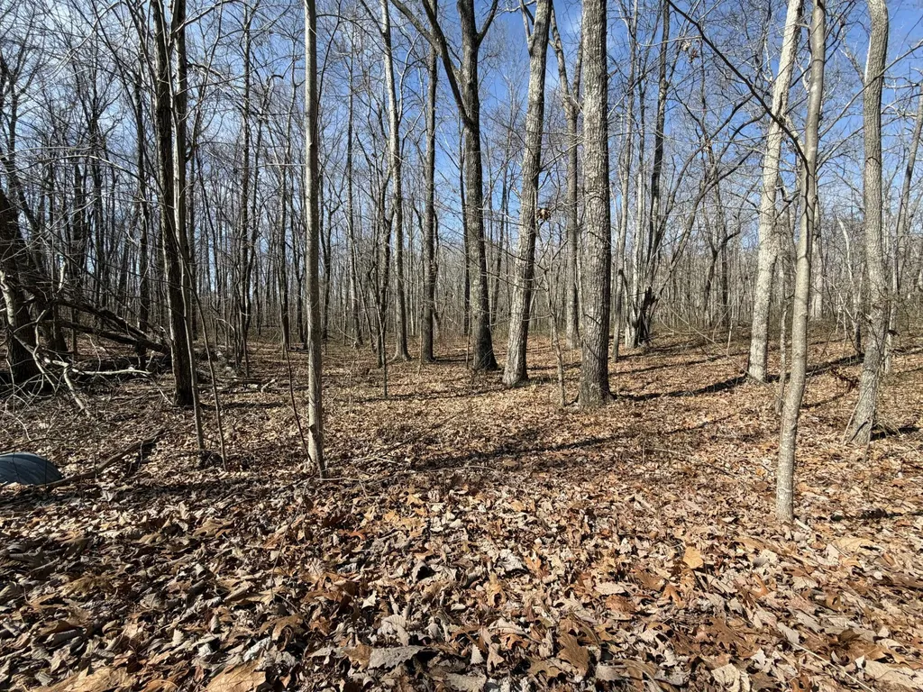 4872 Deer Run Road Altamont TN 37301